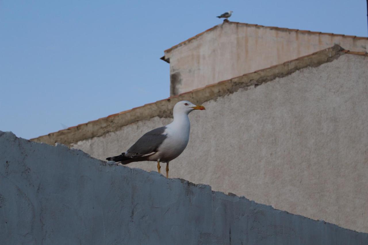Hotel Isla Plana Tabarca Εξωτερικό φωτογραφία
